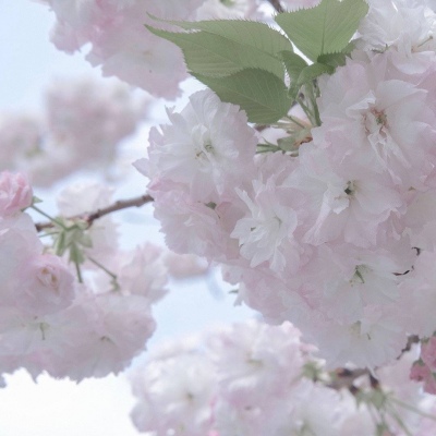 辽中福瑞交流群